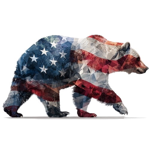 Geometric Brown Bear American Flag Decal, Patriotic Wildlife Sticker with USA Stars and Stripes Design, Bold Red White Blue Vinyl Art for Car, Truck, or Window (Bear)