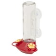 thumbnail image 3 of Perky-Pet Red Window Mounted Glass Hummingbird Feeder - 14 oz Capacity, 3 of 12