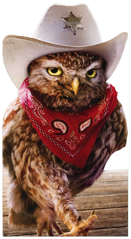 Avanti Press Cowboy Owl Oversized Funny / Humorous Birthday Card -  Walmart.com - Walmart.com