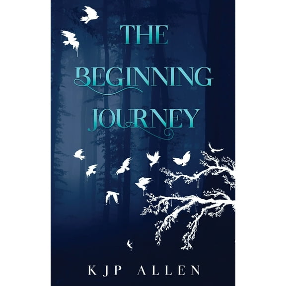 The Beginning Journey, (Paperback)