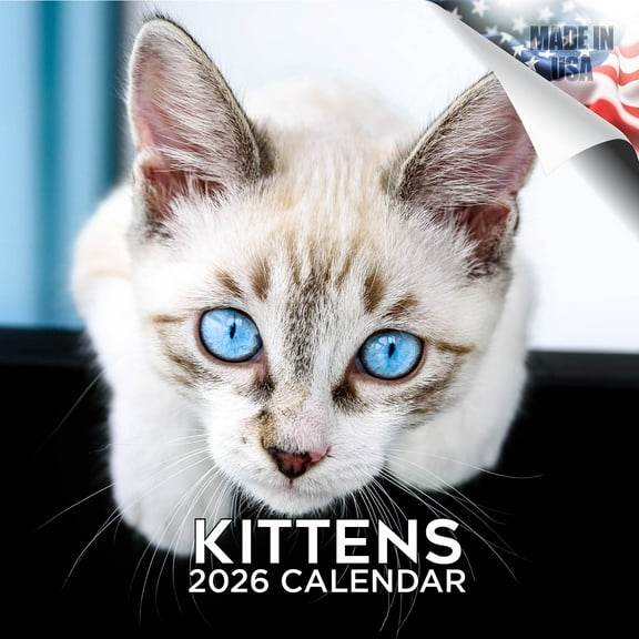 2025 2026 Kittens Calendar - Cute Animal Monthly Wall Calendar - 12 x 24 Open - Thick No-Bleed Paper - Giftable - Academic Teacher's Planner Calendar Organizing & Planning - Made in USA