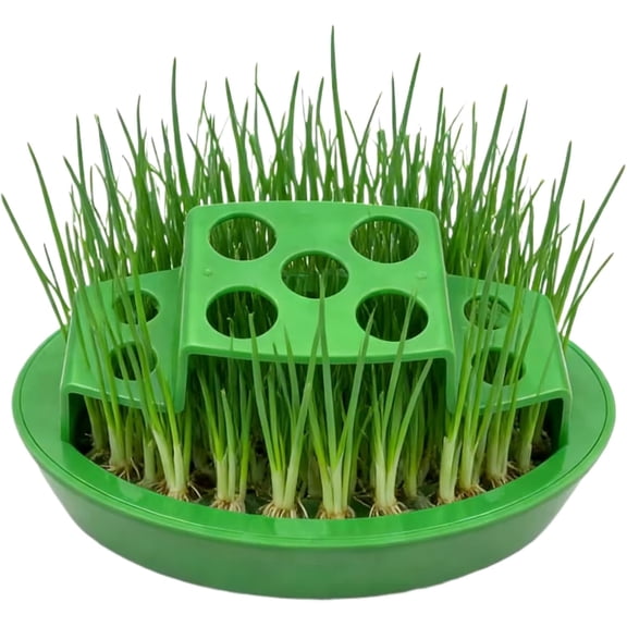 Indoor Green Onion Planter - multi-Slot Hydroponic Grow Kit for Windowsill, Regrow Scallions Year-Round, Soil-Free Indoor Herb Garden(1 Pcs)DSF