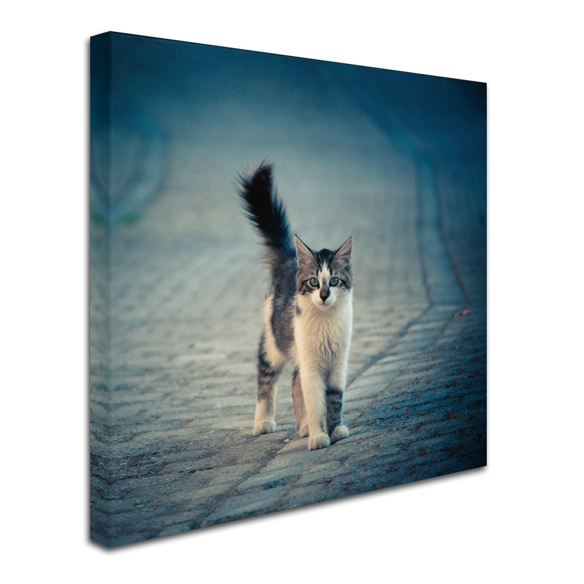 Trademark Fine Art 'Little One' Canvas Art by Dejan Ilijic