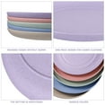thumbnail image 6 of Dinner Plates The Dish Dessert Ceramic Fruit Tray Platter Unbreakable Straw Degradable 10 Pcs, 6 of 6