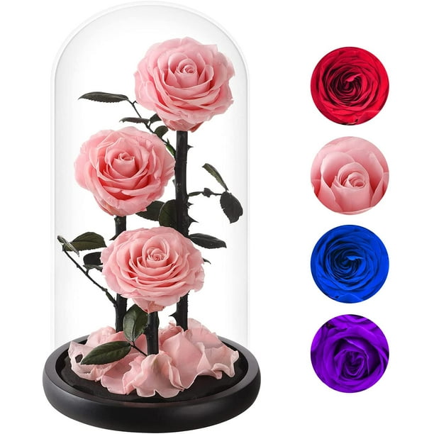 Preserved Real Rose,The Eternal Real Rose in A Glass Dome Will Last  Forever,Unique Gifts for Her/Wife/Mom/Valentine's Day/Mother's