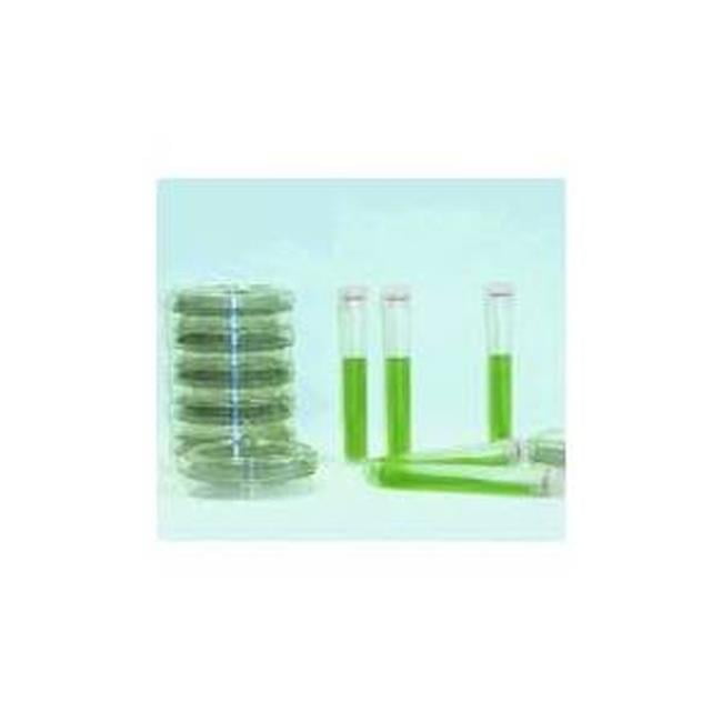 Maine Manufacturing GBS 10498316 Yeast & Mold Swab Kit 30 per Pack