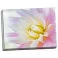 thumbnail image 2 of Gango Home Decor Dahlia Close Up II by Kathy Mahan (Ready to Hang); One 24x18in Hand-Stretched Canvas, 2 of 4