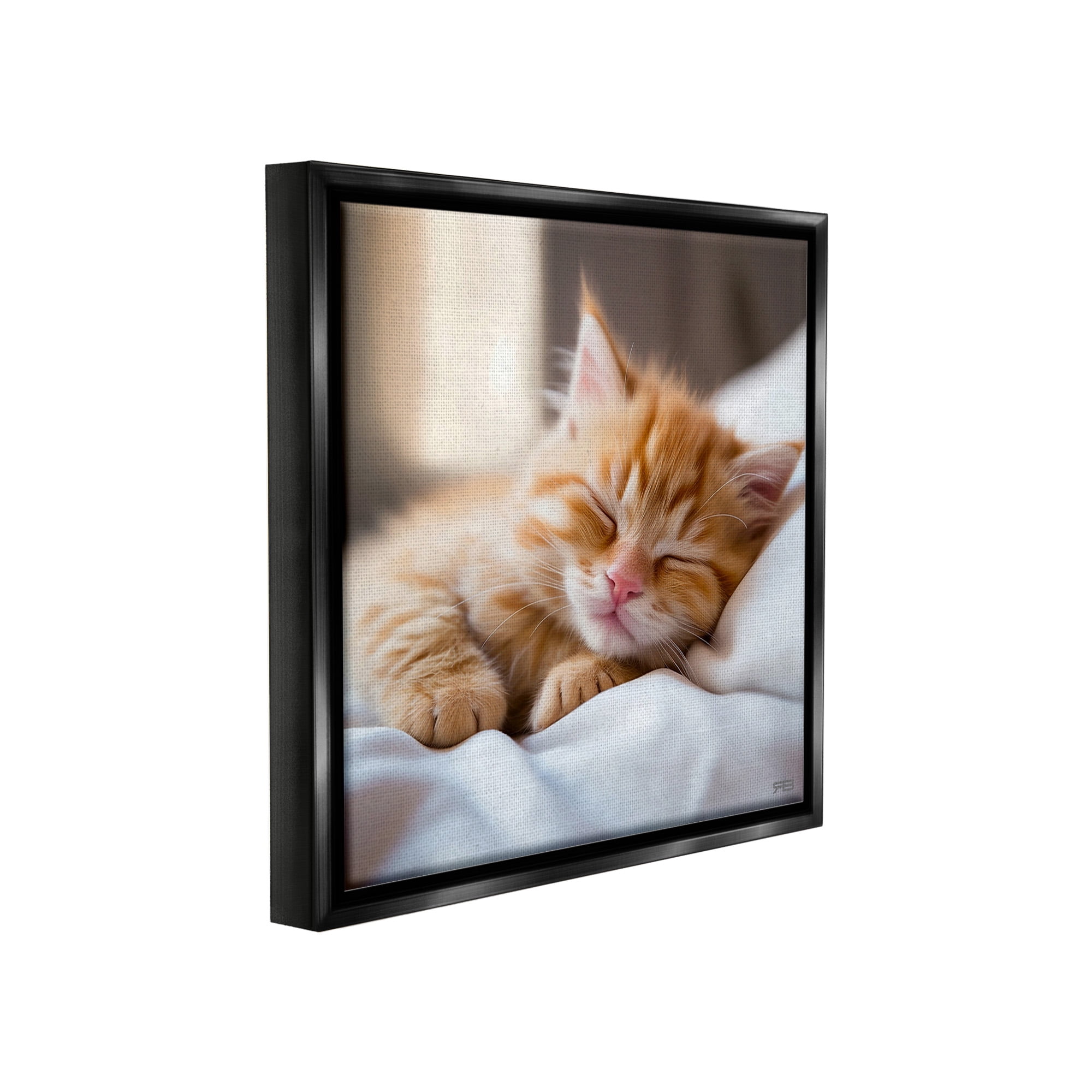 Stupell Industries Sleeping Orange Kitten Animals & Insects Painting Black Floater Framed Canvas Art Print Wall Art, 18 x 18