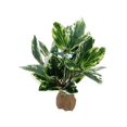 thumbnail image 2 of sunsanly Simulated Water Plants Aquarium Decoration Fish Tank Plastic Green Seaweed Easy Care Landscaping Ornament for DIY Decor, 2 of 8