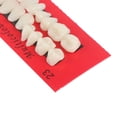 thumbnail image 3 of 28 Pcs/set Dents en Résine Modèle Durable Prothèses Universelles Résistantes Fausses Dents, 3 of 6