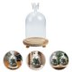 thumbnail image 3 of La nueva cúpula de cristal de 1 unidad., 3 of 3