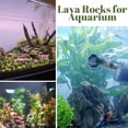 thumbnail image 4 of NOGIS 0.77lb Black Lava Rocks for Plants, Volcanic Rock Horticultural Lava Rock Soil for Landscaping Plants Drainage, Small Lava Rock Gravel for Succulents, Bonsai, Vase Fillers, Top Dressing, 4 of 6