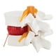 thumbnail image 1 of Modelo de demostración de columna vertebral lumbar Jadeshay 1:1.5 Hernia de disco lumbar humano, 1 of 8