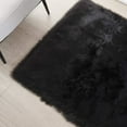 thumbnail image 3 of Novashion 2x4, 4x6, 6x8 ft, Soft Fluffy Area Rug for Bedroom Living Room, Black/Grey/Blue/Pink Fuzzy Rugs, Plush Carpet, 3 of 11