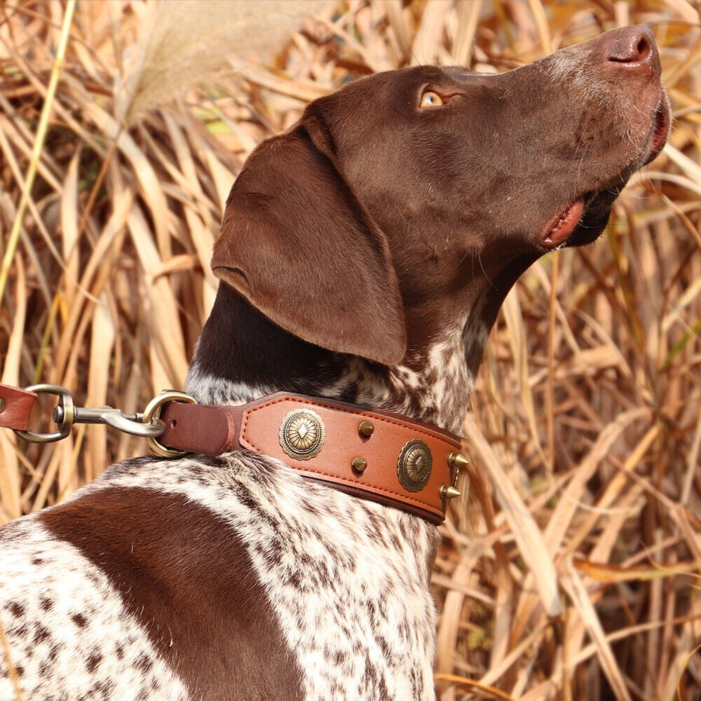 Didog 2" Wide Spiked Studded Genuine Leather Dog Collars Retro Heavy Duty for Medium Large Breeds