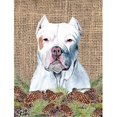 thumbnail image 1 of Carolines Treasures SC9042CHF Pit Bull Flag Canvas - House Size, 1 of 4