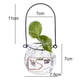 thumbnail image 5 of Planta Hidropónica Decoración Del Hogar Calabaza Florero De Cristal Colgando Cesta Con Cadena Soledad Jardinera hidropónica colgante, 5 of 10