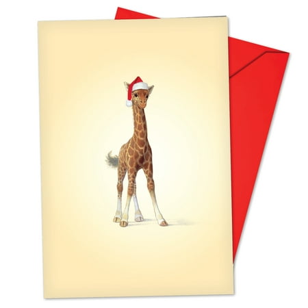 'B6726FXSG Zoo Babies Christmas Cards' Box Set of 12 Hilarious Merry Christmas Notecards with Envelopes by