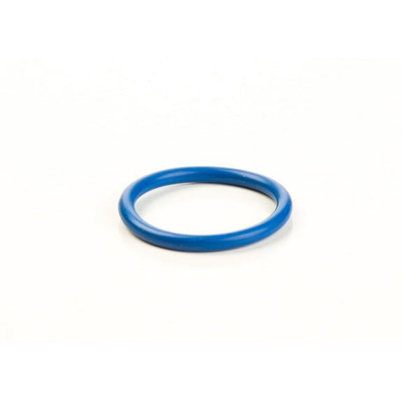 Briggs & Stratton O-Ring Seal | 691031