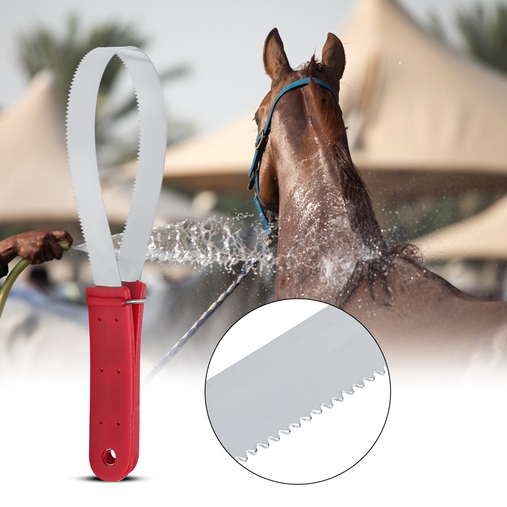 Horse Shedder Scraper Tool Horse Groomer, Single Shedding Blade