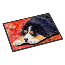 Carolines Treasures SS8842MAT Bernese Mountain Dog Doormat 18x27 27"L x 18"W multicolor