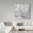 thumbnail image 3 of Incredi 'Winter Wonderland White' Canvas Art, 3 of 4