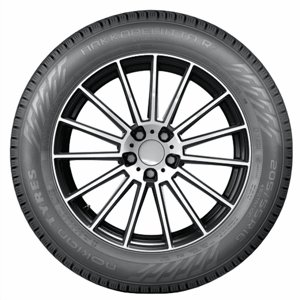 Nokian Hakkapeliitta R5 (Non-Studded) 195/60R15 88R BSW (2 Tires) Fits: 2005 Honda Civic Reverb, 2004-08 Nissan Sentra Base Sansujyuku sansujyuku.com