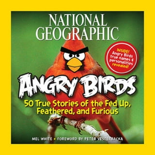 Jogos para Android: Angry Birds Go!, Ridiculous Fishing e mais
