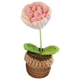 thumbnail image 1 of Mini maceta de flores de ganchillo hecha a mano para decoración de interiores de oficina. Rosa Degradada Rosa, 1 of 9