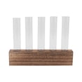 thumbnail image 1 of Mini Test Tube Flower Vase Glass Planter,Glass Plant Propagation Station Plant Propagation Tubes Glass Planter Plant Terrarium Finely Tuned Performance, 1 of 8