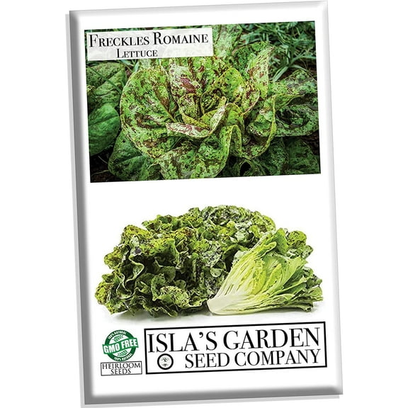 Freckles Romaine Lettuce Seeds, 1000 Heirloom Seeds Per Packet, Non GMO Seeds