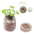 thumbnail image 3 of 1Pcs Compressed Peat Pellets with Coir Soil, Non-Woven Nutrient Cubes for Seedling and Plant Growth, Gardening Essentials for Home Gardeners, 3 of 6