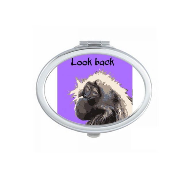 Primate Baboon Papio Mirror Portable Fold Hand Makeup Double Side Glasses