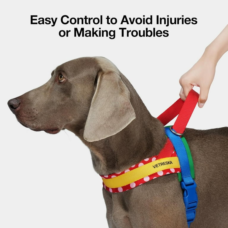 Dog harness hot sale for puppy training