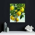 thumbnail image 5 of Awypu  A5 Lemon Wall Art - prints - Botanical Yellow Home Decor - Lemon Branches - Tree Watercolor Painting - Kitchen Citrus Fruit Artwork, 5 of 5
