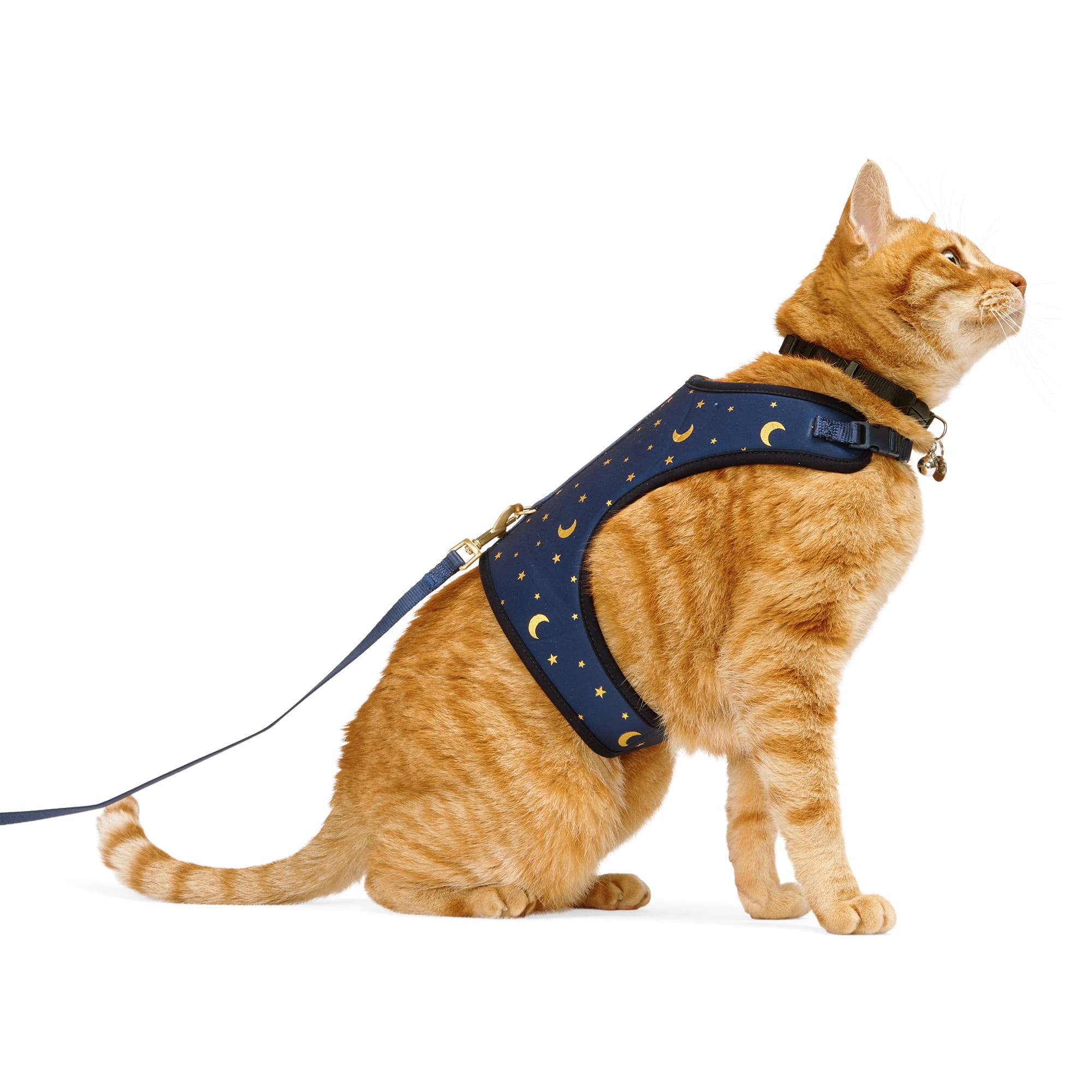 Sassy Meow Cat Step-In Harness Small - Hello Kitty Light Blue