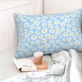 thumbnail image 4 of Goofa Floral Daisy Print Plush Throw Pillow Case, Soft Velvet with Hidden Zipper, Decorative Cushion Cover for Sofa, Bed, Car, and Home Décor-20"x30", 4 of 6