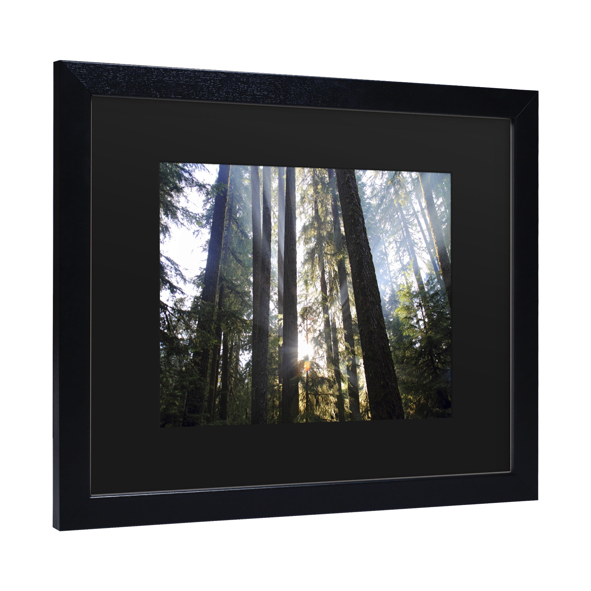 Trademark Fine Art 'Sunrays' Canvas Art by Pierre Leclerc