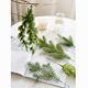 thumbnail image 3 of Árbol de Navidad Artificial de 5 piezas, ramas de pino de plástico para Navidad, corona de bricolaje, decoraciones de Año Nuevo, ajuste de Mesa para el hogar, 3 of 5