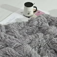 thumbnail image 3 of DweIke Shaggy Throw Blanket with Sherpa Warm Underside,Super Soft Cozy Large Plush Fuzzy Blanket,60"x80",Dark Gray, 3 of 7