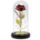 thumbnail image 3 of 2026 24k Gold Rose - Gold Plated Eternity Rose in Glass Cup with Gold Lamps, 3 of 5