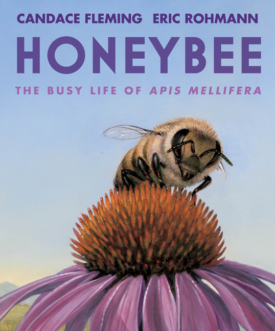 Honeybee The Busy Life of APIs Mellifera (Hardcover)