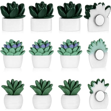 12 Pcs 3D Potted Plant Magnet Stickers, Cute Succulent Fridge Magnet, Mini Succulent Magnets for Locker Refrigerator Whiteboard, Creative Decorative Magnets for Kitchen Office DIY Home Decors