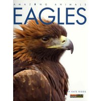 Amazing Animals: Eagles (Paperback)