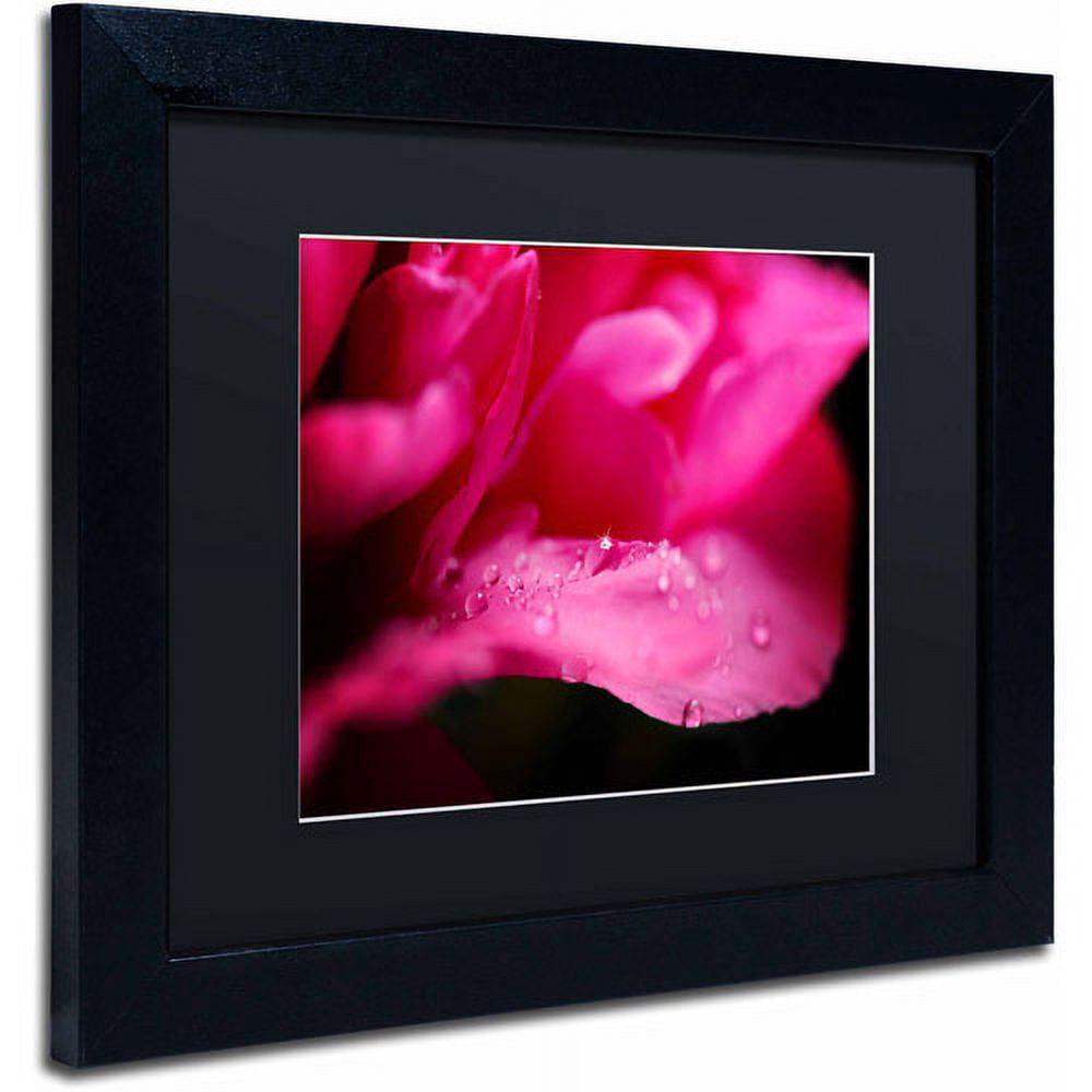 Trademark Fine Art "Peony Drops" Canvas Art by Philippe Sainte-Laudy, Black Matte, Black Frame