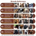 thumbnail image 4 of Breathable Silicone Dog Muzzle - Anti-Barking & Anti-Chewing Solution, 4 of 4