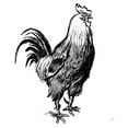 thumbnail image 2 of Art Licensing Studio 12x12 Gold Ornate Wood Framed with Double Matting Museum Art Print Titled - The Rooster Guard, 2 of 4