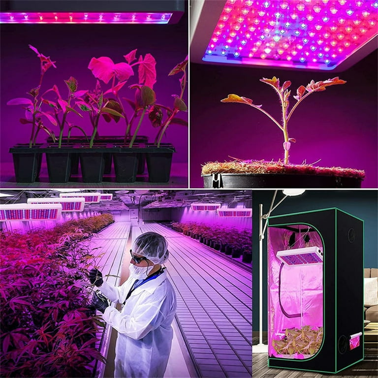 Maystar LED Grow Lights Full Spectrum, 2000W Dual Switch