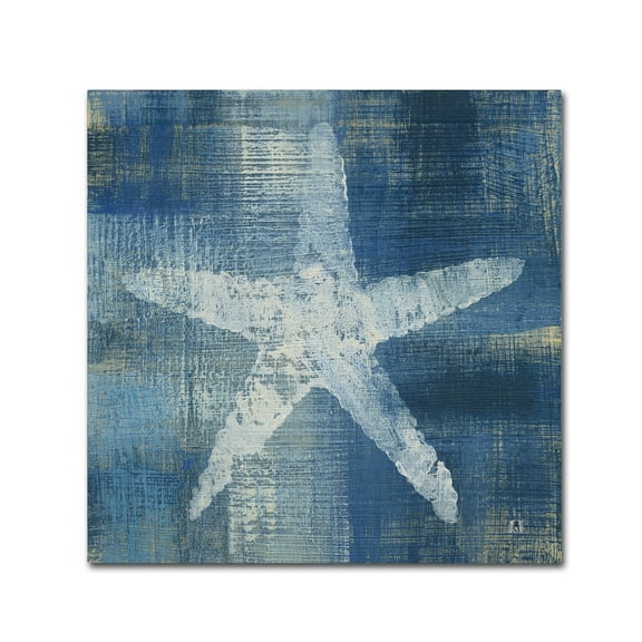Trademark Fine Art 'Batik Seas II' Canvas Art by Studio Mousseau
