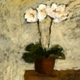 thumbnail image 3 of Bagnato, Judi 12x12 Black Modern Framed Museum Art Print Titled - Orchid 1, 3 of 5